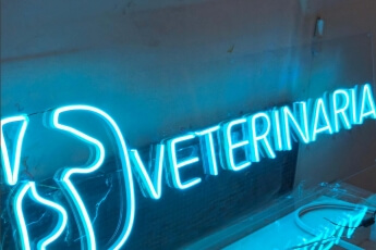 /trabajos/2025/05/08/letrero-de-neon-veterinaria.jpg