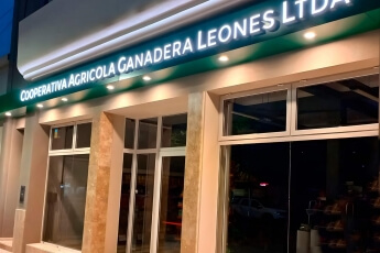 /trabajos/2025/05/27/letreros-de-acero-luminoso-leones-70.jpg